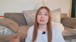 Зачем ходить на выставки кошек? Жизнь с мейн-кунами