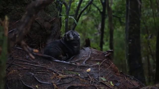 топ 5 стран с самой красивой природой