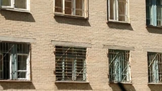 Психбольница. Психушка. Зона прогулки психбольных