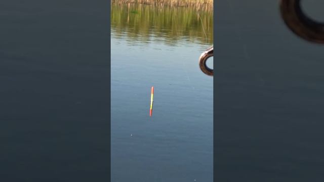 Называевская рыбалка зона отдыха часть 2 смотреть онлайн