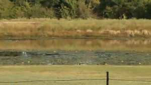 Atomos Ninja Star & Sony HVR V1U