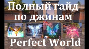 Полный гайд по джинам в Perefect World
