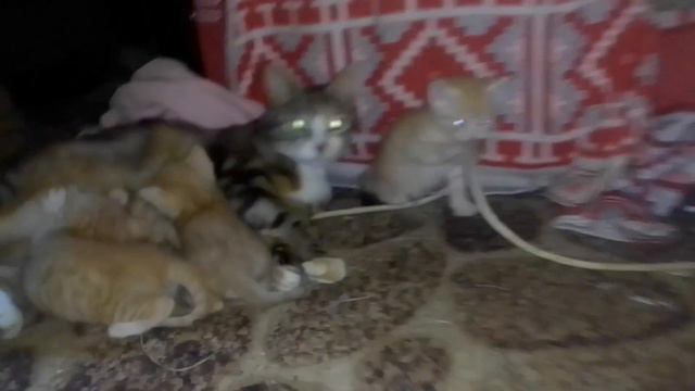 Мамоцка рядом нам ничего не страшно. смотреть онлайн