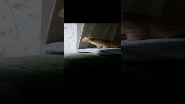 2022-11-14 смотреть онлайн