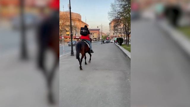 Конная доставка еды смотреть онлайн