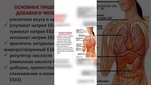 «Чипсы и сухарики, степень их вредности на организм»
