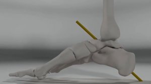 Биомеханика пронация и супинация стопы