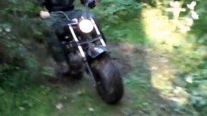 Мотоцикл вездеход Куница 200 в лесу