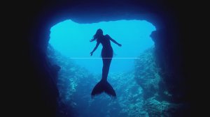 Мифические создания, которые действительно существуют