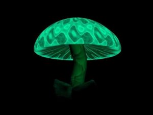 10-ка самых ядовитых грибов