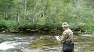 Большой Пит xvid