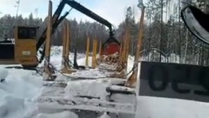 Погрузка леса на лесовоз