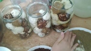 Сыр Шевр в специях закрываем в банки.Получается красиво))