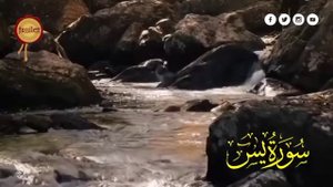 МИШАРИ РАШИД СУРА ЯСИН ОТ ВСЕХ ВАШЫХ ПРОБЛЕМ ИН ША АЛЛАХ #yasin #ясин