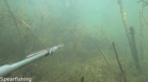 Подводная охота. Люберецкий карьер. Март 2020. Выстрел в конце.