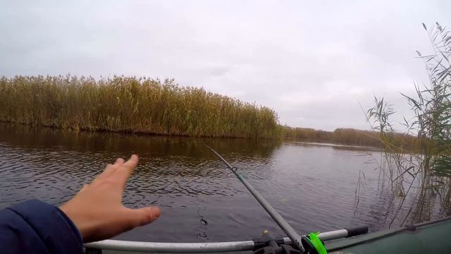 ЖЕЛТЫЙ КАРАСЬ перед морозами - РЫБАЛКА НА ПОПЛАВОК ОСЕНЬЮ НА РЕКЕ !ДУШЕВНАЯ рыбалка на реке смотреть онлайн