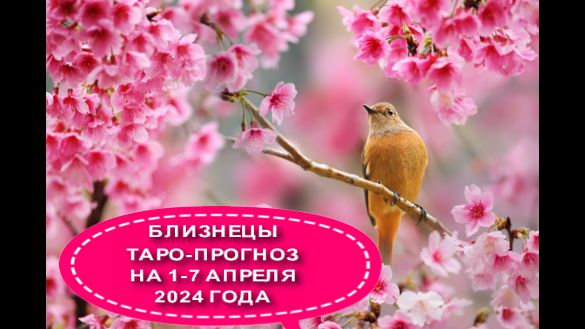 БЛИЗНЕЦЫ ТАРО-ПРОГНОЗ НА НЕДЕЛЮ С 1 ПО 7 АПРЕЛЯ 2024 ГОДА