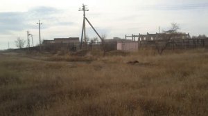 натаска молодого Курцхаара .работа, стойка по набродам...