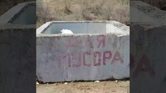 Объявляем благодарность! смотреть онлайн