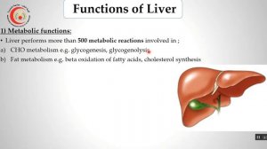 lecture 4 GIT module pancreatic and biliary secretion