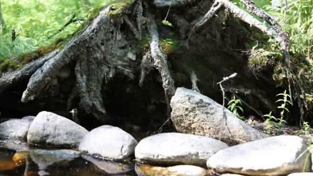 Соловки (Solovetsky Islands) смотреть онлайн