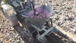 Посадка картофеля сажалкой на самоделке.