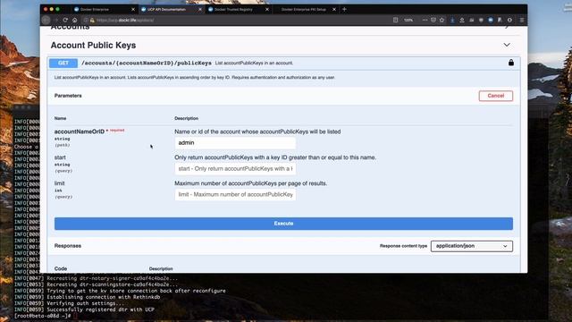 Docker Enterprise PKI Setup смотреть онлайн