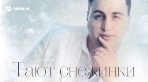 Замир Пашаев - Тают снежинки | Премьера трека 2019