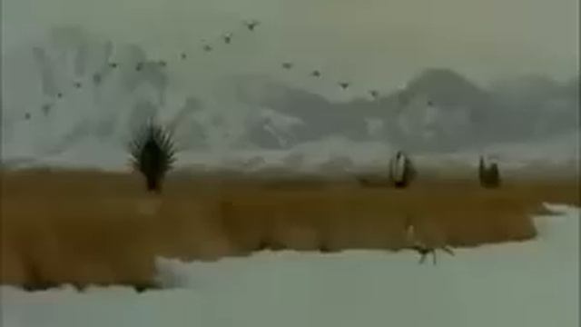 Praise God - The beauty of Creation смотреть онлайн