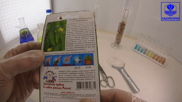 Огурец Аленушка F1. СеДеК смотреть онлайн