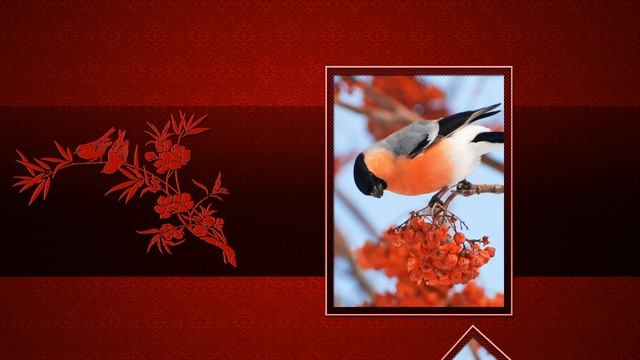 Снегири зимой. Песня прилетели снегири. Песня прилетели снегири. Примета снегирь за окном. Снегирь 2023.
