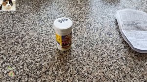 Как проверить кислотность почвы лакмусовой бумагой. Таблица кислотности почвы для овощей