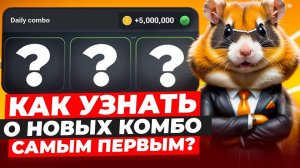 СРОЧНАЯ НОВОСТЬ ПРО Hamster Kombat | УЗНАВАЙ ПЕРВЫМ О НОВЫХ КОМБО КАРТАХ И ШИФРЕ В ХАМСТЕР КАМБАТ