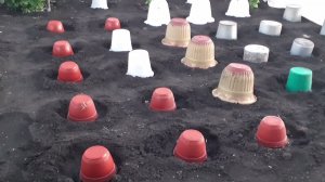 30 мая 2022 г.  Жизнь в деревне.  Видео , не одного дня. Май подходит к концу , плохой был май.