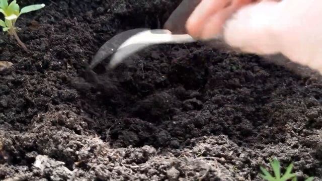 Добавьте в лунку при высадке перца в теплицу смотреть онлайн