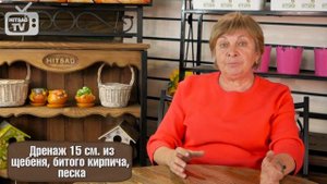 Клематисы выращивание ✅ Посадка в грунт и уход за садовыми растениями