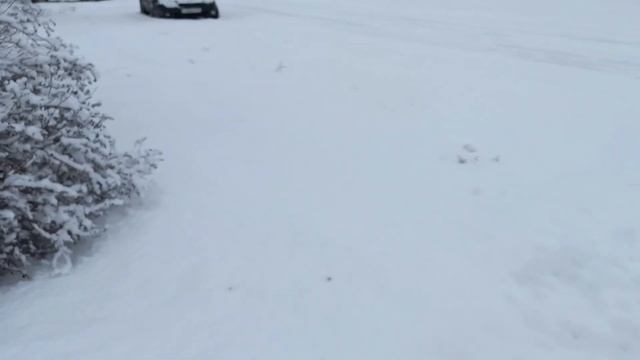 БЕЛГОРОДСКАЯ ОБЛАСТЬ🌍ПОСЛЕДНИЕ НОВОСТИ/ОПЯТЬ СНЕГ смотреть онлайн