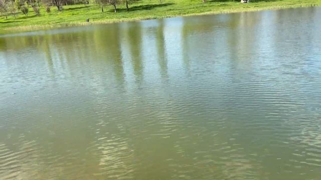 4 мая. Поездка в Кишинёв. смотреть онлайн