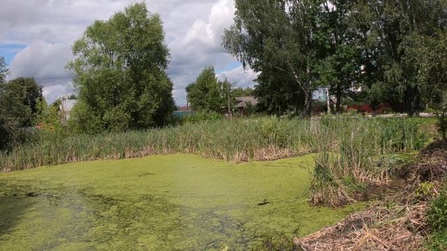 Как гоняют острова из камыша рогоза в Тутаеве смотреть онлайн