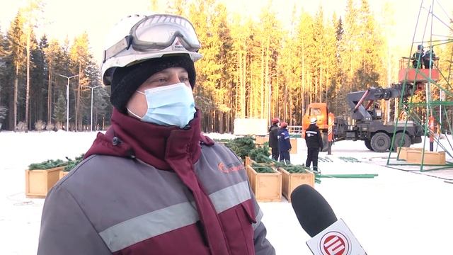 Праздник к нам приходит. В парке Дворца культуры Ревды установили новогоднюю ель
