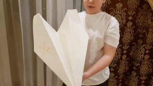 Сделал огромный бумажный самолет из листа А1! Самолёт А1.