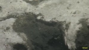 УДИВИТЕЛЬНЫЕ ТАЙНЫ ОКЕАНА