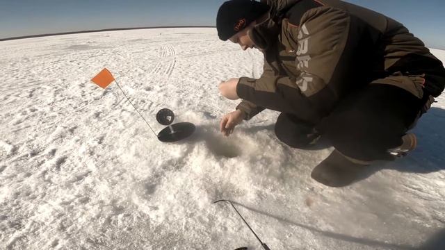 Ловля щуки на жерлицы по последнему льду!Ловля щуки на мелководье!Флаги загораются один за одним! смотреть онлайн