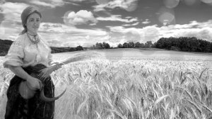 Українська народна пісня: "Ой пив козак, спився".