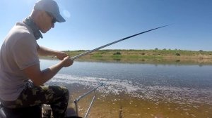 Ловля леща на маховую удочку на реке в проводку | Поплавочная снасть