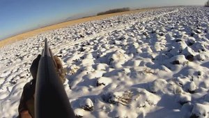 Отличная охота на зайца. Тропанул косого.
Взял в чистом поле.