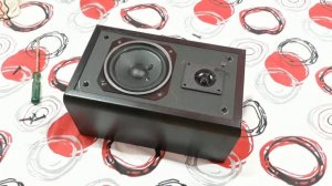 Whats Inside Yamaha NS-P51 Surround Speaker