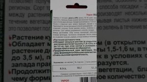 ✔?9 кг с куста! УКРОП сорт "ЛЕШИЙ"!/ВЫСОТА до 3.5 метра!