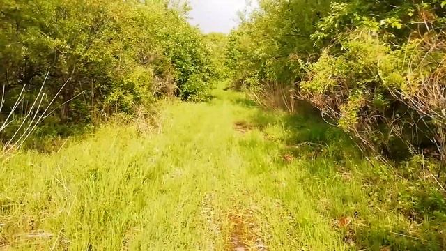 Хабаровск. Ореховая сопка. Прогулка по месторождению кремнистых сланцев