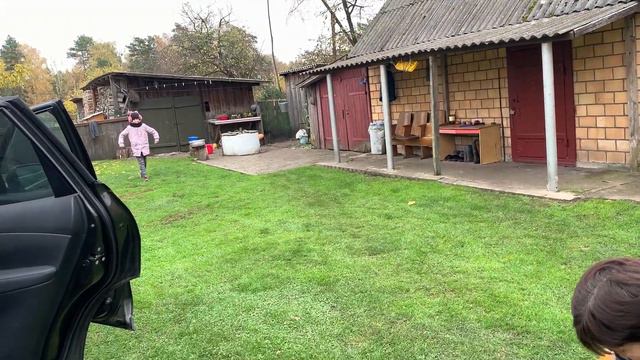 ВЛОГ: Едем в деревню. Чем угощает мама. Где сейчас наши найдёныши. смотреть онлайн